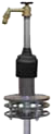 Model RHMC